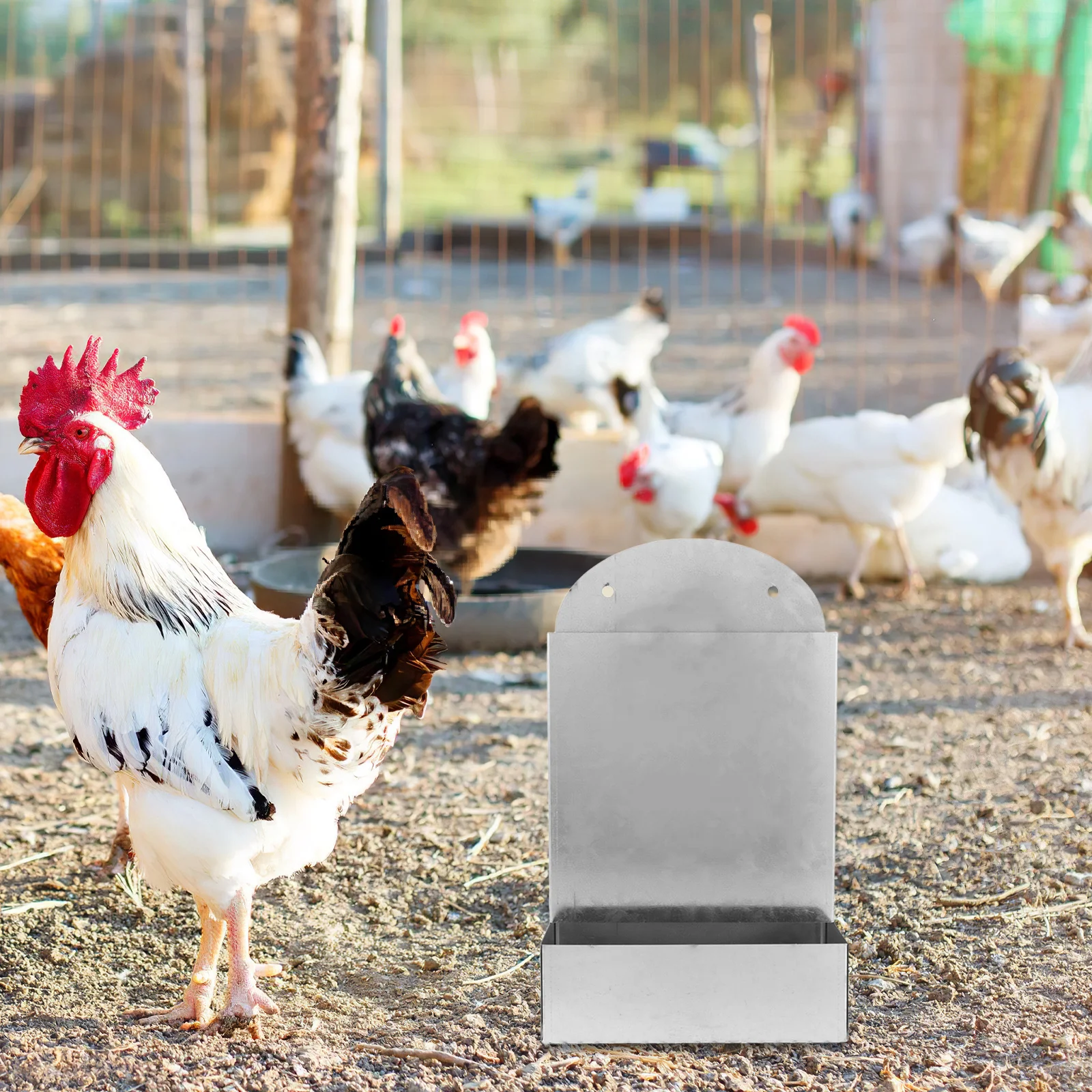 

Automatic Chicken Feeder Trough Heavy Duty Metal Poultry Feed Dispenser Large Capacity Weatherproof For Oyster Shells Grit
