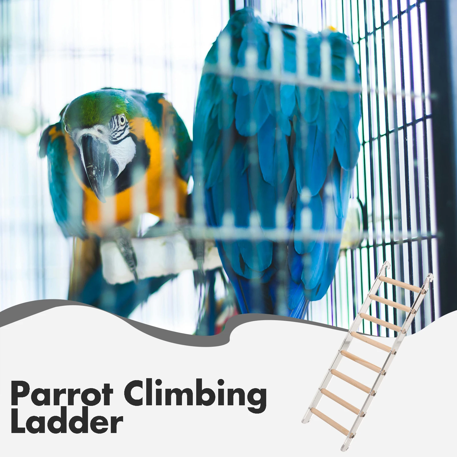 

Ladder Acrylic Parrot Toy Bird Climbing Step Suspending Birdcage for Cockatiels Toys