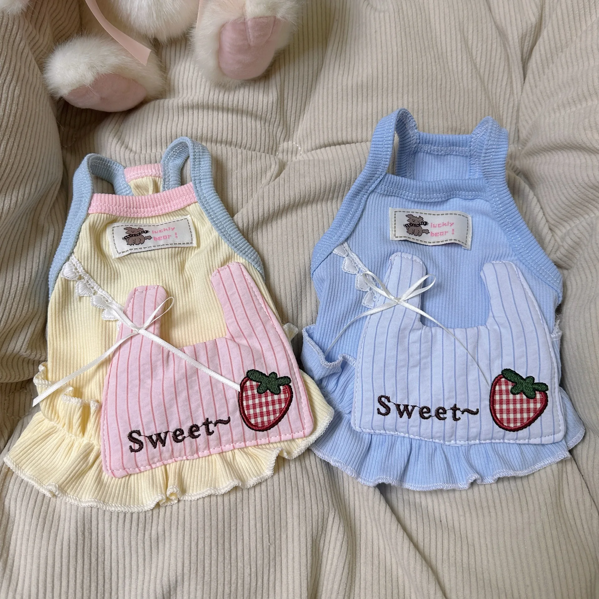Ropa y accesorios con mochila fresa para gatos, perros pequeños
