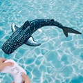 No spray blue