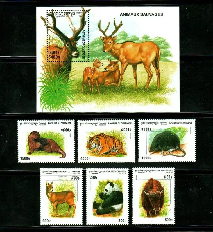 Cambodia Post Stamp,1999,Animal Stamps,Wild Animals,Mammals,6 PCS Samps+1 Souvenir Sheet,Real Original,High Quaility