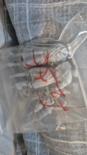 Buyer photo of this resin kit