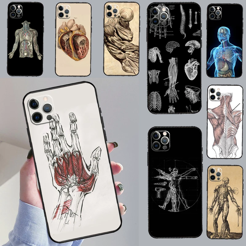 Human Anatomy For H…