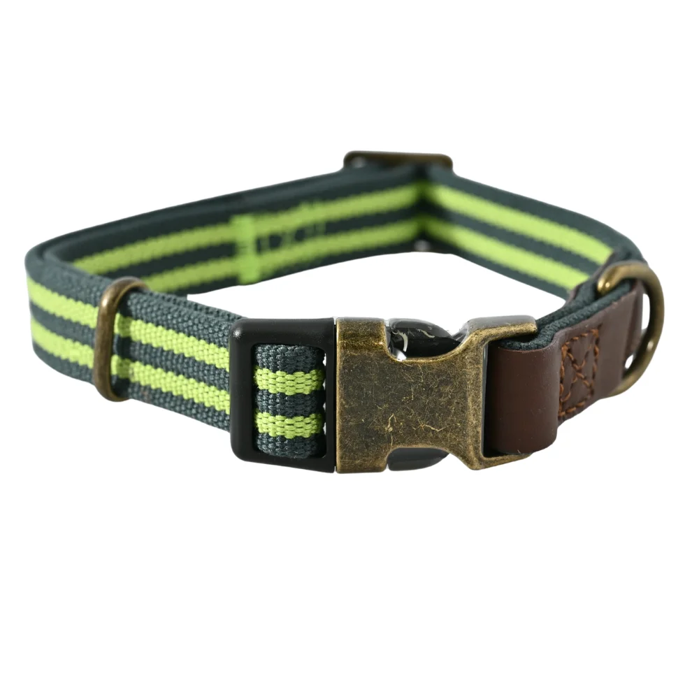 60PCS/Carton Adjustable Dog Collar Durable Lightweight Pet Collar with Metal Buckle D Ring Comfortable Washable Neck Strap for Walking Training