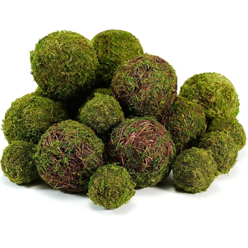 Decorative Moss Bal…
