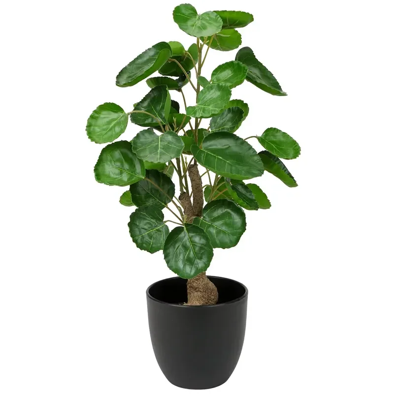 Fengshui Fake Money Tree Indoor Faux Potted Plants Artificial Pachira Tree Good Luck Gift Fortune for Home Office