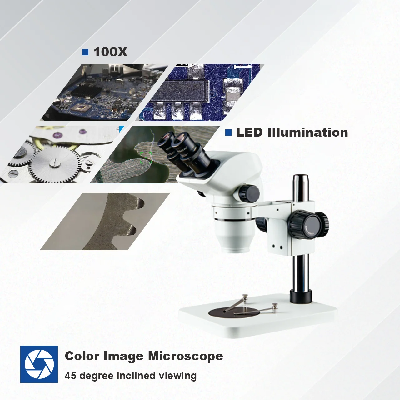 VT-BM100FL Fluorescence Lifetime Analog CCD Rg Bnc Color Image Biological Microscope Camera for Laboratory Research
