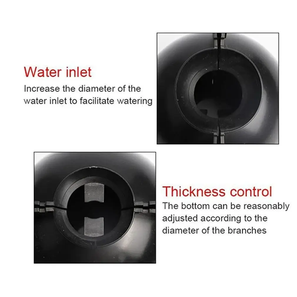 الكرة تأصيل النبات ، تأصيل صندوق متزايد ، علبة تربية للحديقة ، علم النبات ، جهاز التحكم في الجذر ، ارتفاع ضغط