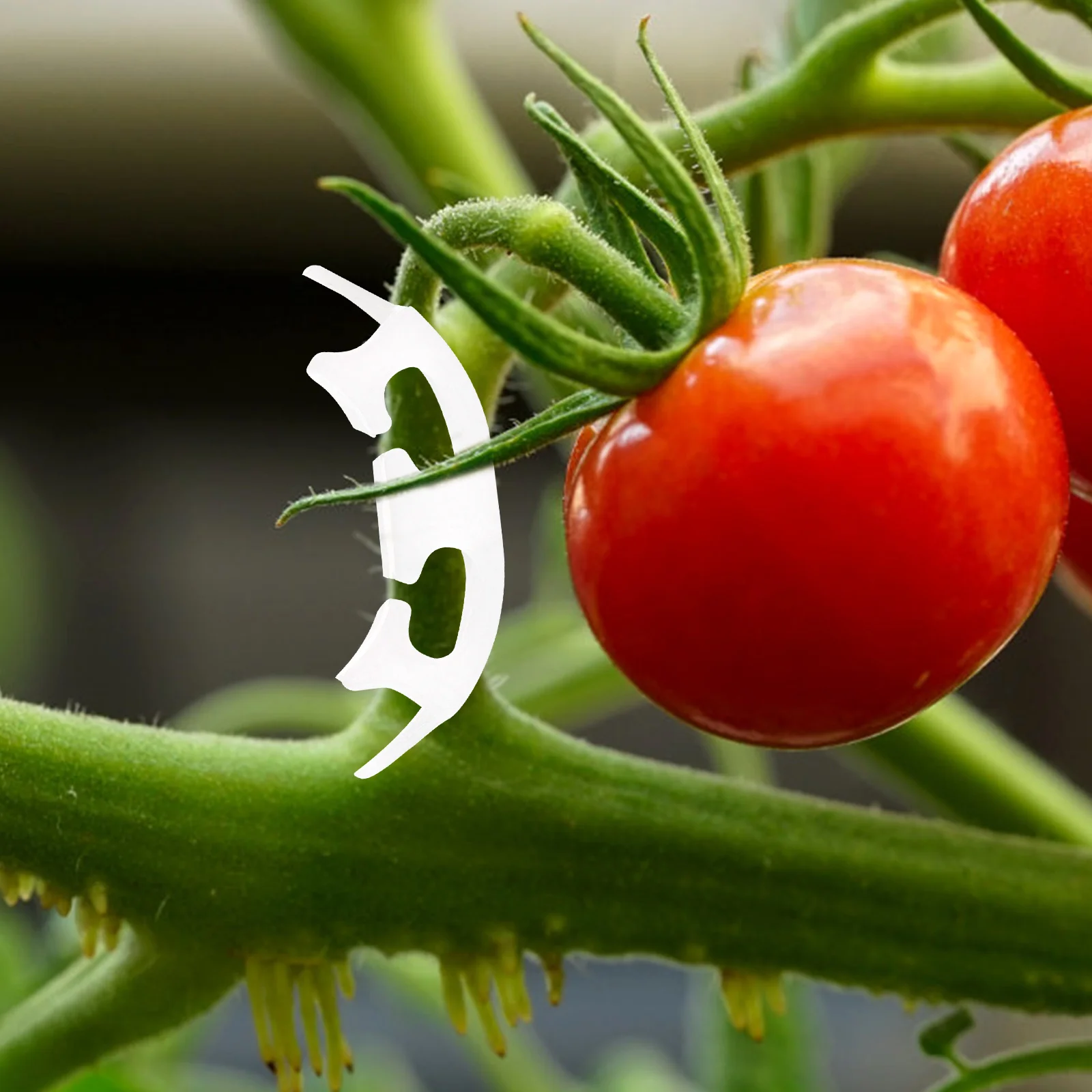 

100pcs Tomato Plant Clips Plastic Vine Support Gardening Easy Fasten Professional Gifts Garden Lovers Plant Fixed Bender