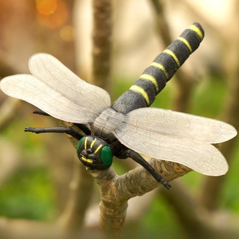 Simulated Wild Animals Large Insect Models Children's Early Education Cognitive Animal Decoration Simple Household Spider Models