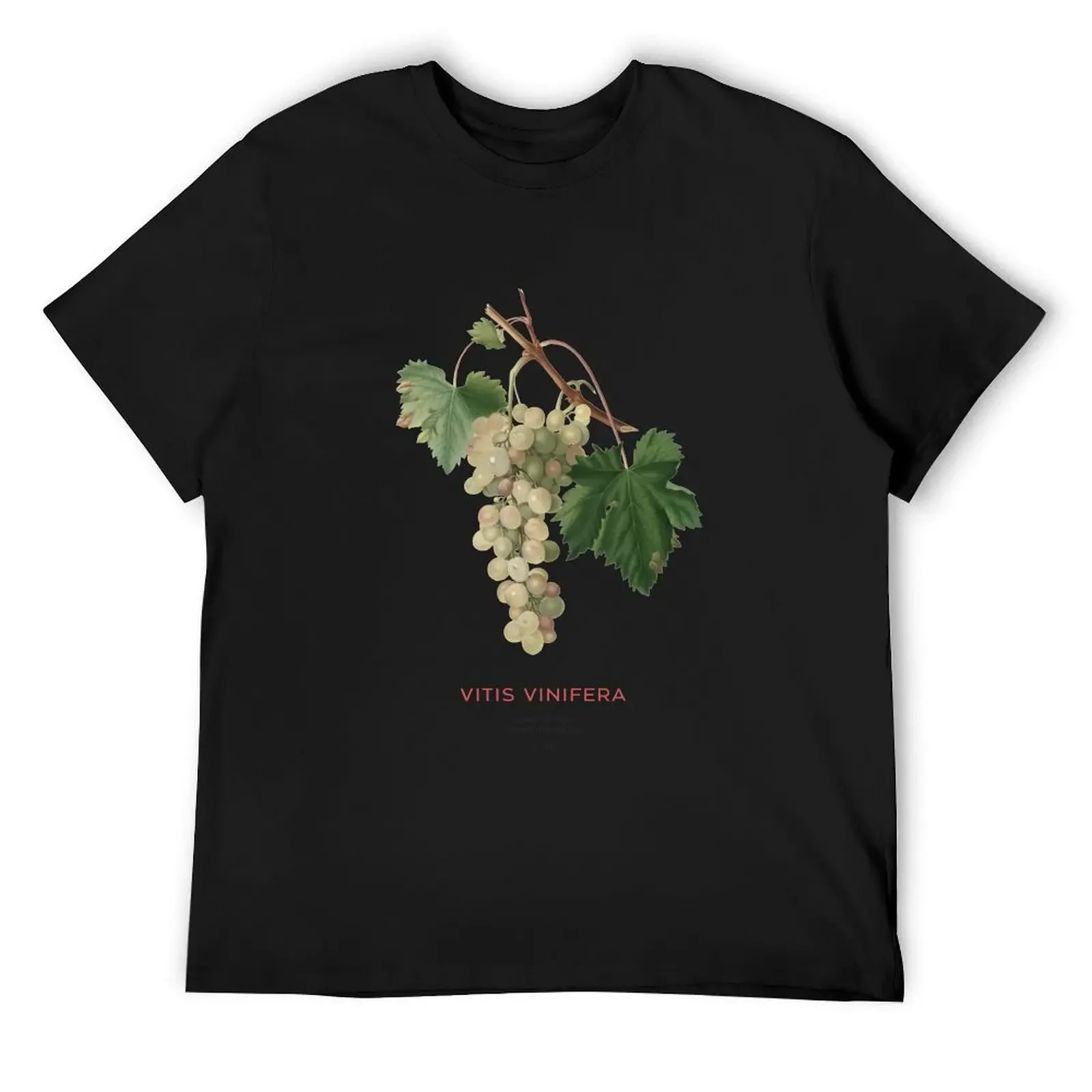 Common grape vine or Vitis vinifera T-Shirt graphic shirts plus size tops mens graphic t-shirts anime