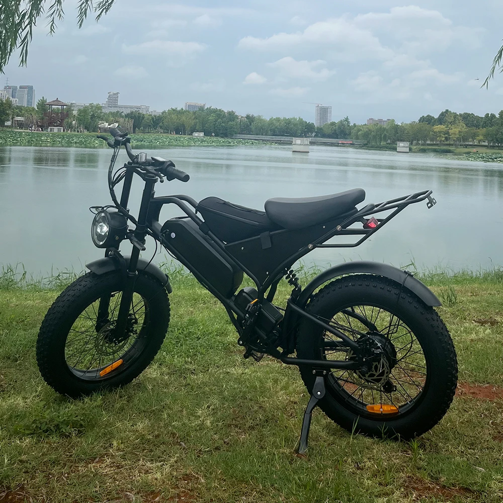 مصنع الجملة كندا الكهربائية 250 واط 750 واط 1000 واط E 25 كم/ساعة دراجة كهربائية الاتحاد الأوروبي #4