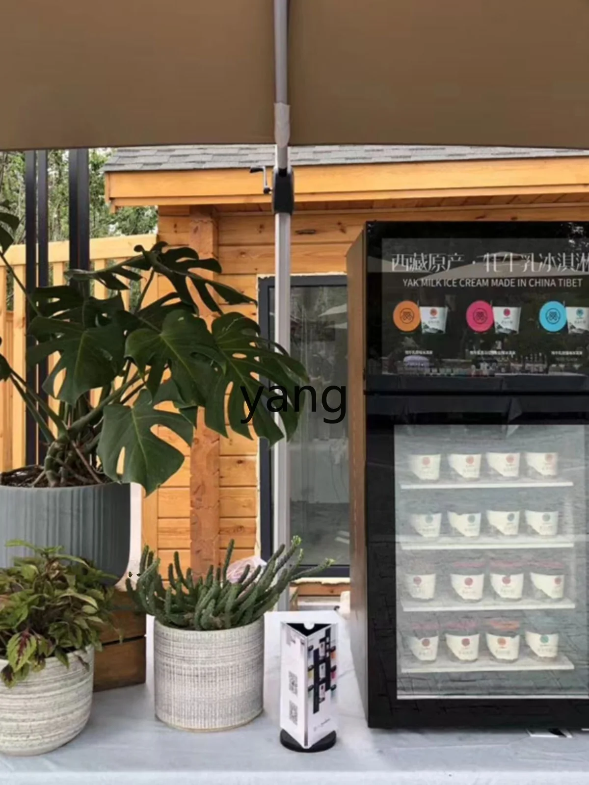 XC Small Business Vertical Direct Cooling Freezer Ice Cream Display Fresh-Keeping Freezer