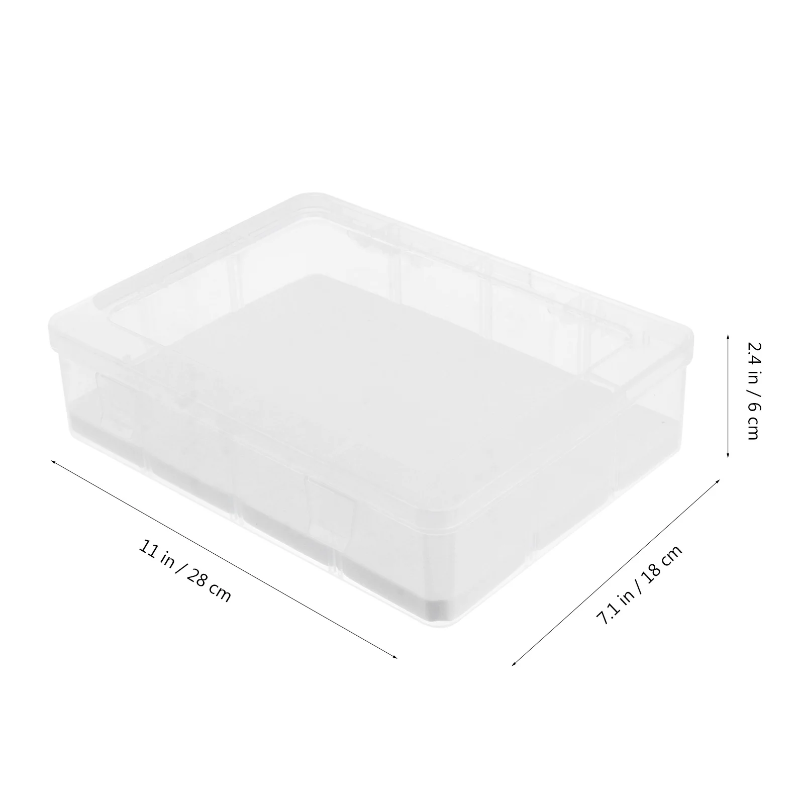 

1Set Specimen Box Transparent Clear Display Kit Durable Plant Insect Jewelry Storage Case for Education Display Box
