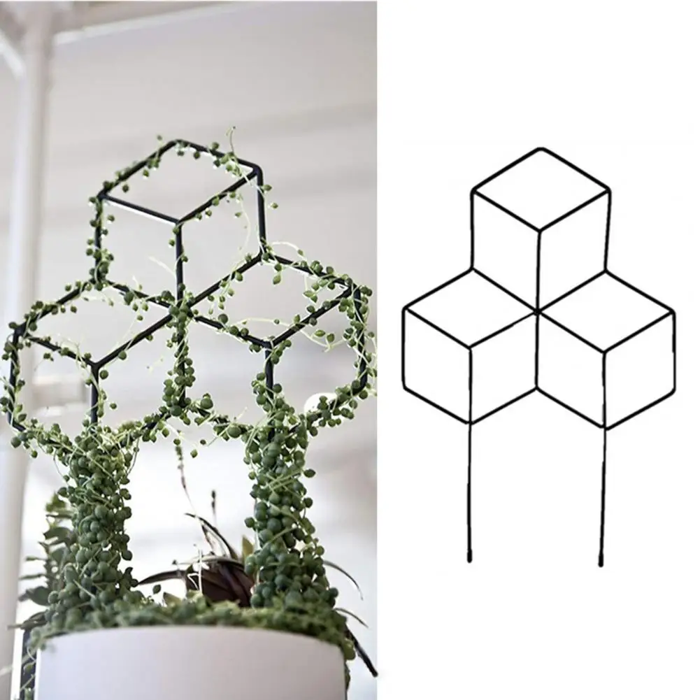 

Rust-resistant Plant Stand Indoor Plant Stand Sturdy Metal Plant Trellis for Indoor Climbing Plants Easy Installation for Ivy