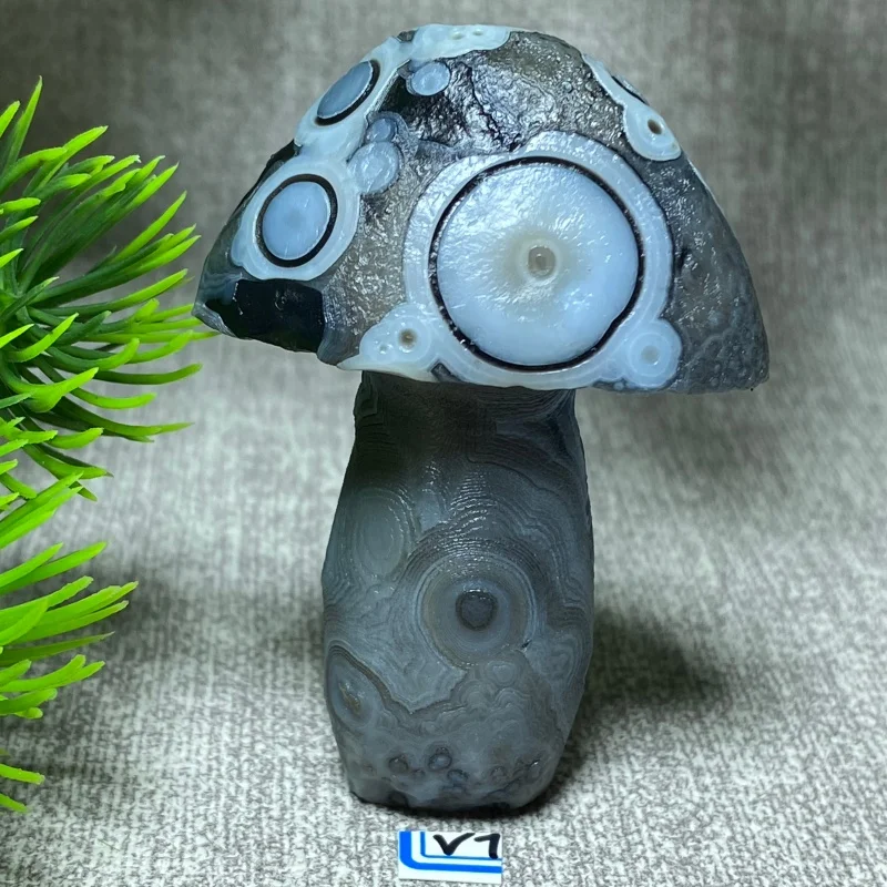 Agate Sardonyx noire naturelle en forme de champignon, spécimen minéral Alxa Gobi Eye, cristal énergétique, pierre de guérison Chakra Reiki, décoration de jardin