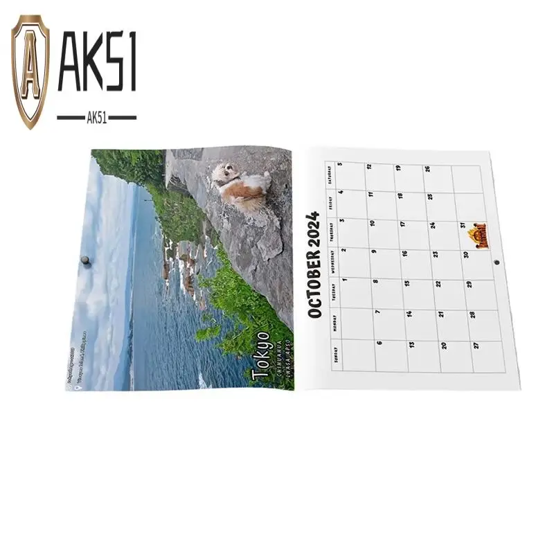 

AK51-1 PCS 2024 Calendar Wall Calendar January 2024 From December Wall Art Gag Humor Prank Calendar For Christmas Gift