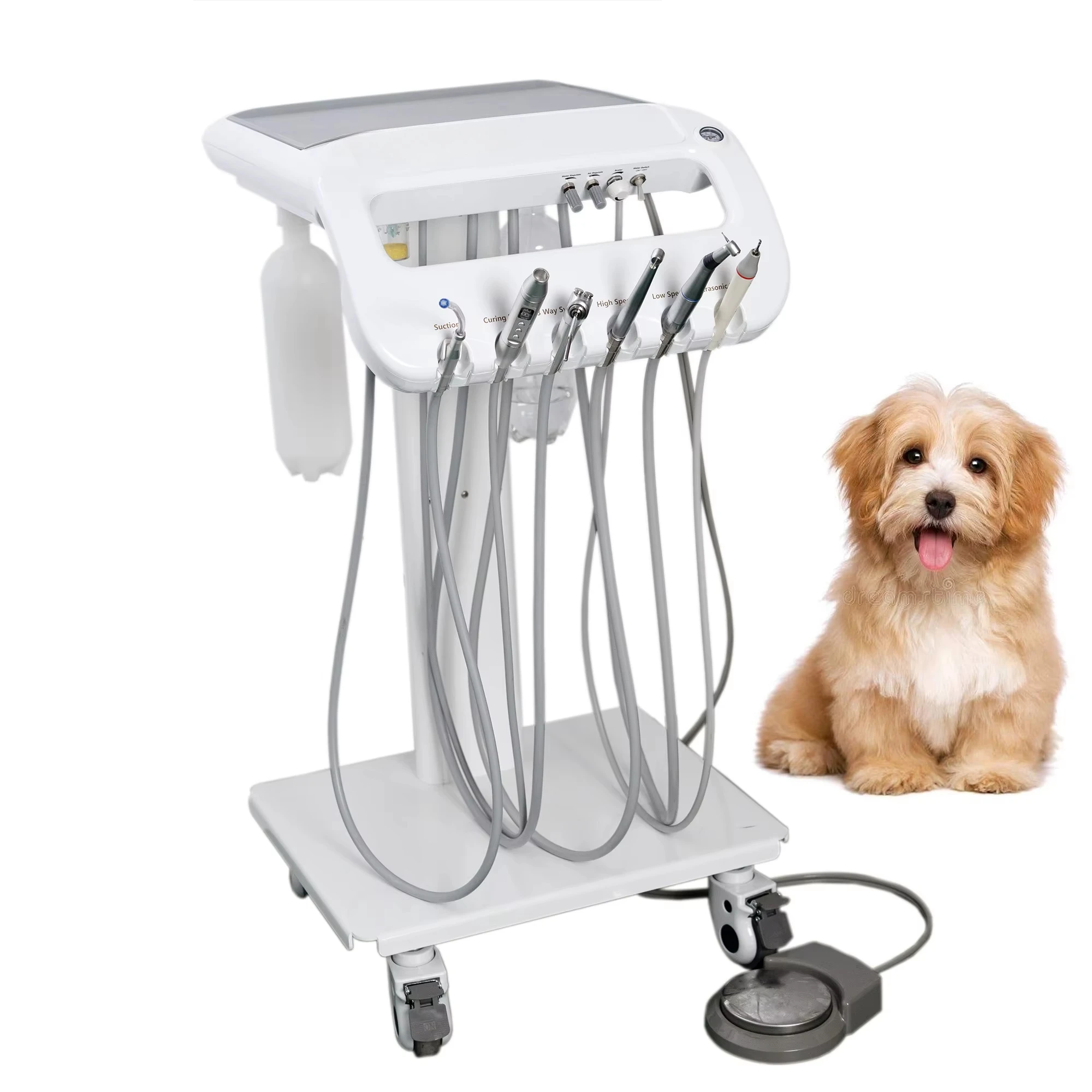 Applicable to Professional Portable Veterinary Unit with Scaler Curing Light Mobile Pet Teeth Cleaning Treatment Machine