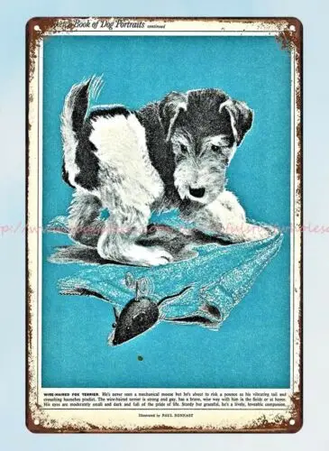 home decor items 1965 WIRE FOX TERRIER Puppy Paul Nonnast Art metal tin sign