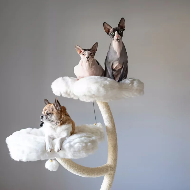 Rattan multi-layer cat litter tree does not take up space solid wood cat climbing frame grinding claws toy jumping platf