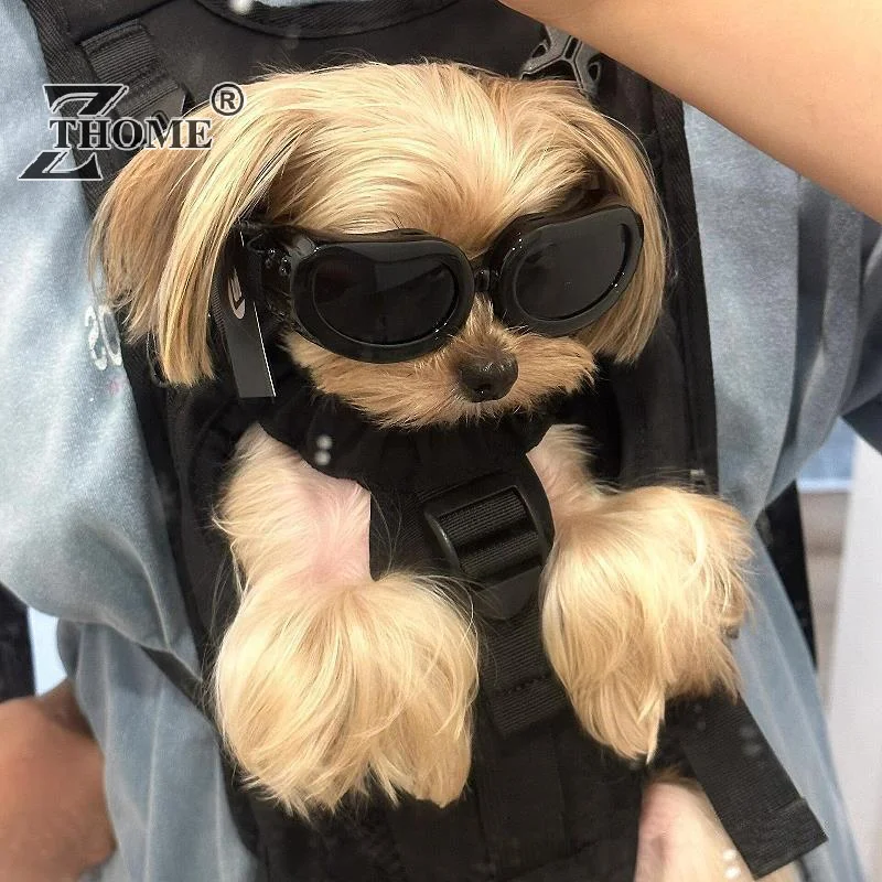 Oculos-de-protecao-multicoloridos-para-pets-com-cordao-ajustavel-a-prova-de-vento-Oculos-de-moto-para-caes-acessorios-para-fotos-de-pets-protecao-uv-de-verao-acessorio-de-cabeca-para-pets