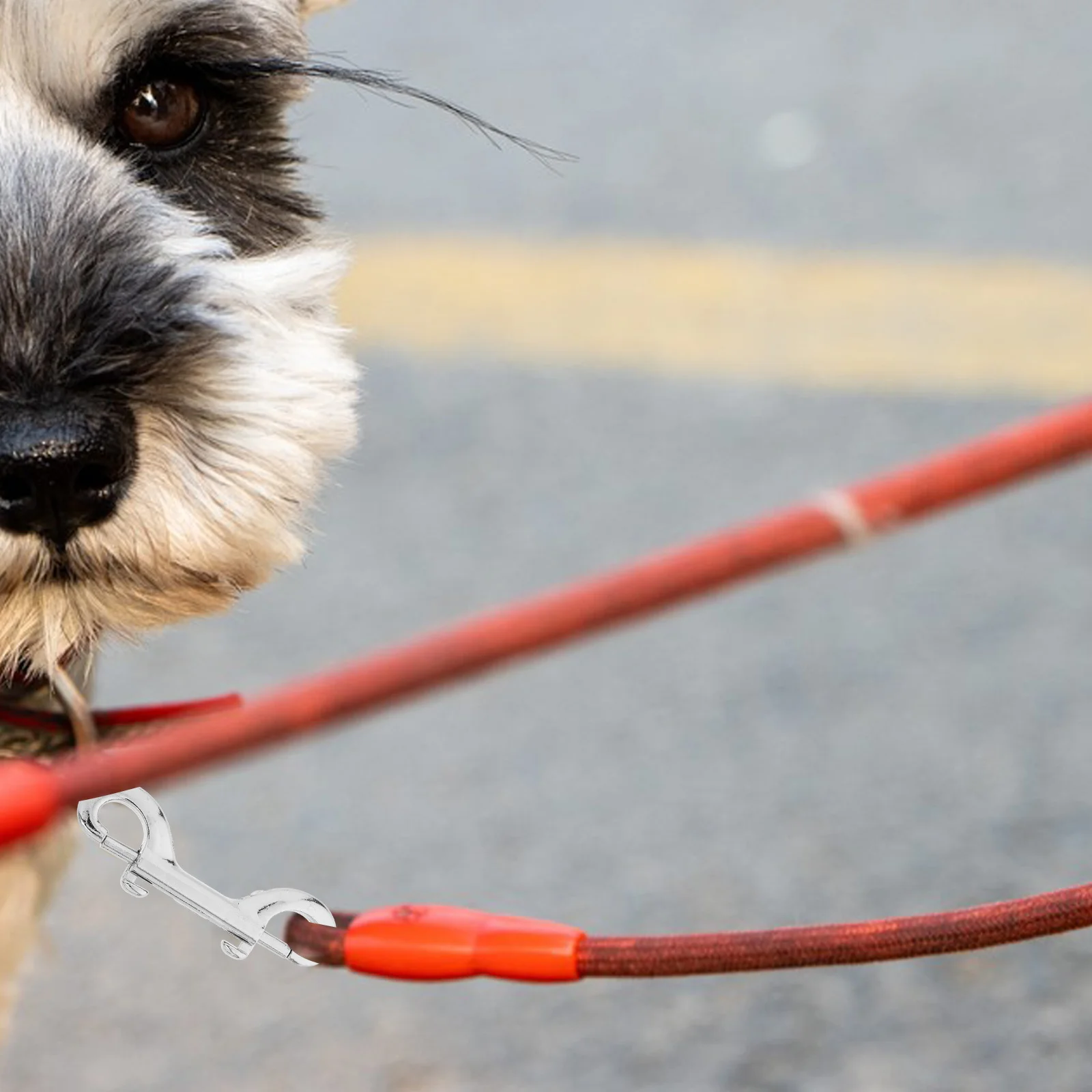 

6Pcs Stainless Steel Double Ended Pet Snap Hook Bolt Leash Clips 89mm Swivel Hook for Walking Training Travel