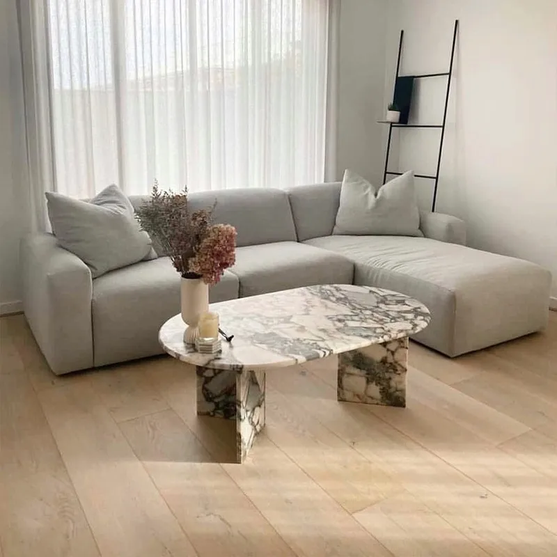 D# Modern Minimalist Light Luxury Small Red Book Net Red Models Karakata Purple Villa Hotel Living Room Coffee Table