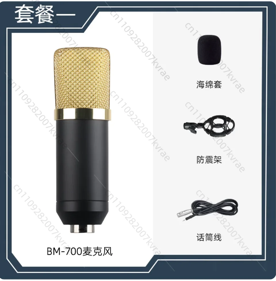 

Professional BM700 Handheld Condenser Microphone for Broadcast Recording Heart Polar Pattern Metal Plastic Material Wired