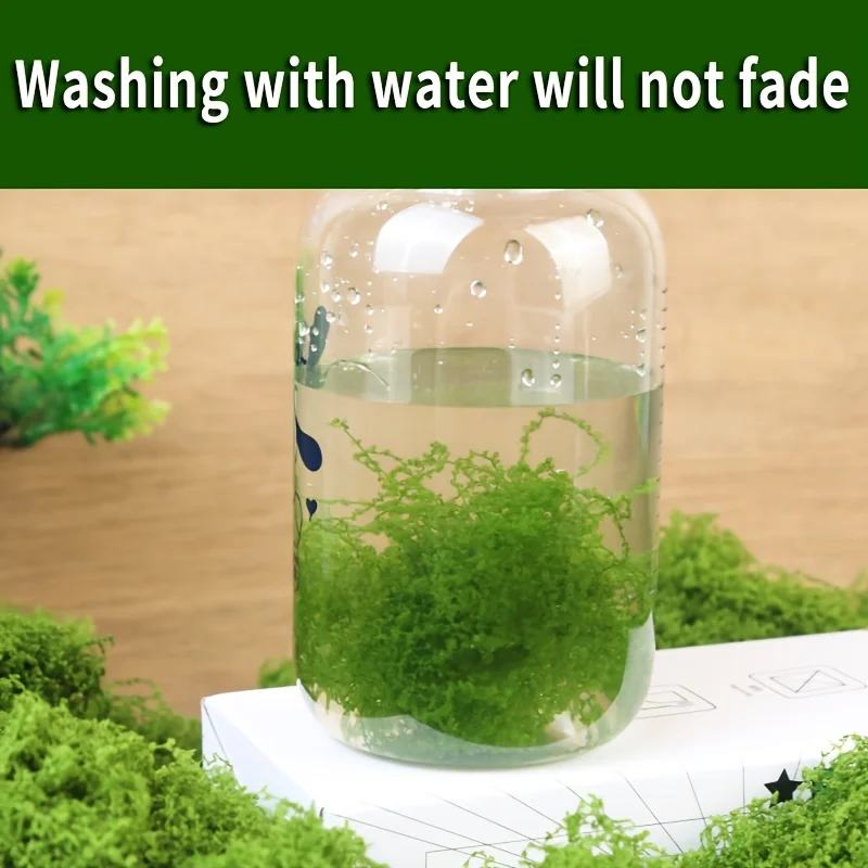 Everything You Need to Know About Silk Moss for Fish Tank: Real-World Use, Setup, and Performance