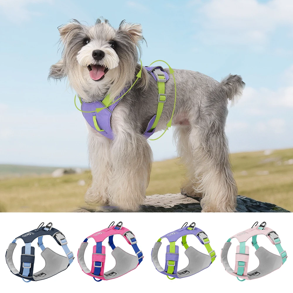 

Ultra-Lightweight Harness with Built-in AirTag Holder! Maximum Comfort & Ultimate Security for Your Dog's Adventures.