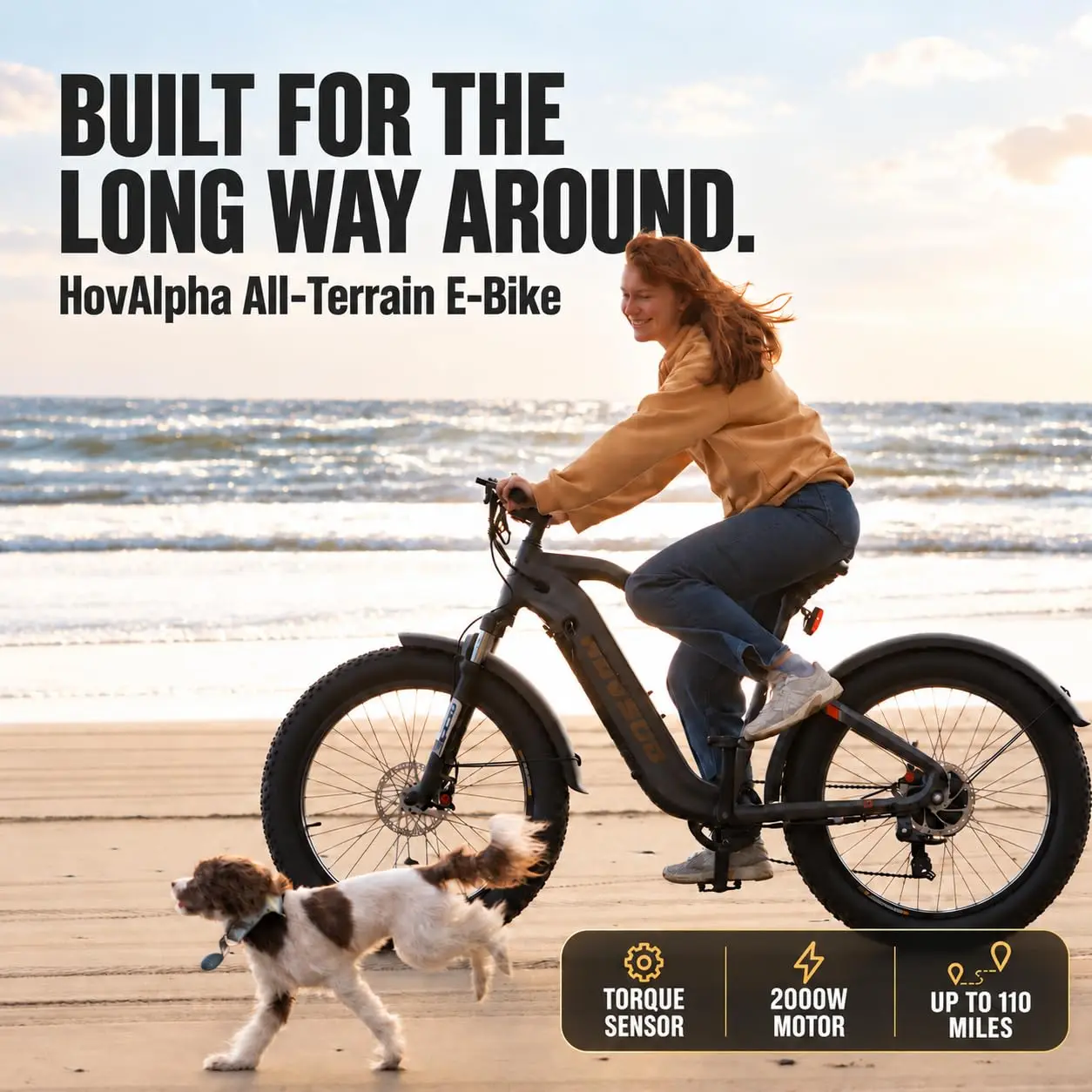 Torque Sensor Electric Bicycle 2000W 48V 20Ah 26x4 Fat Tire Mountain Snow Beach, Customized