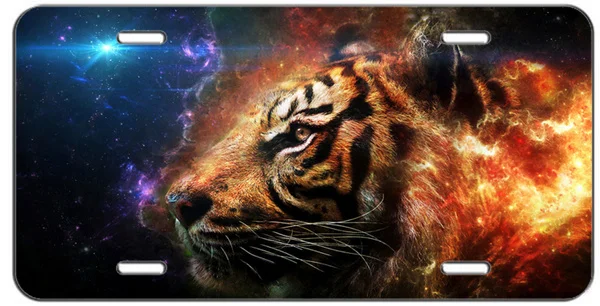 LICENSE PLATE GALAXY TIGER AUTO TAG License Plate Tin Frames Tag Cover Screw Caps Signs Home Bar Decor sign