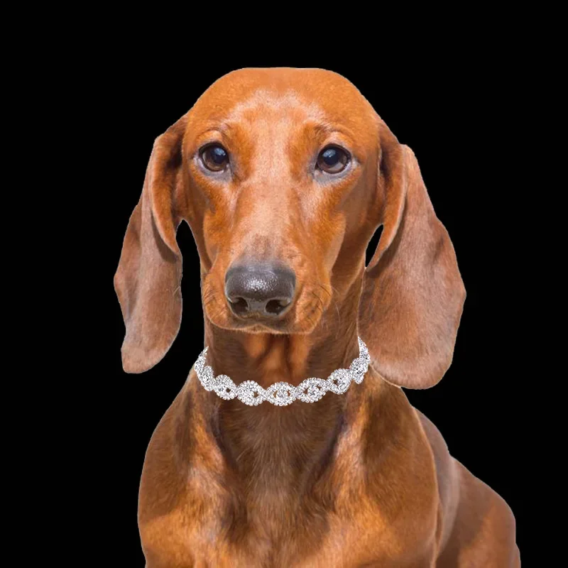 

Hot Sale Rhinestone Chain Cat Dog Rabbit Pet Necklace Pet Supplies Rhinestone Silver Decorative Dog Collar Cat Collar