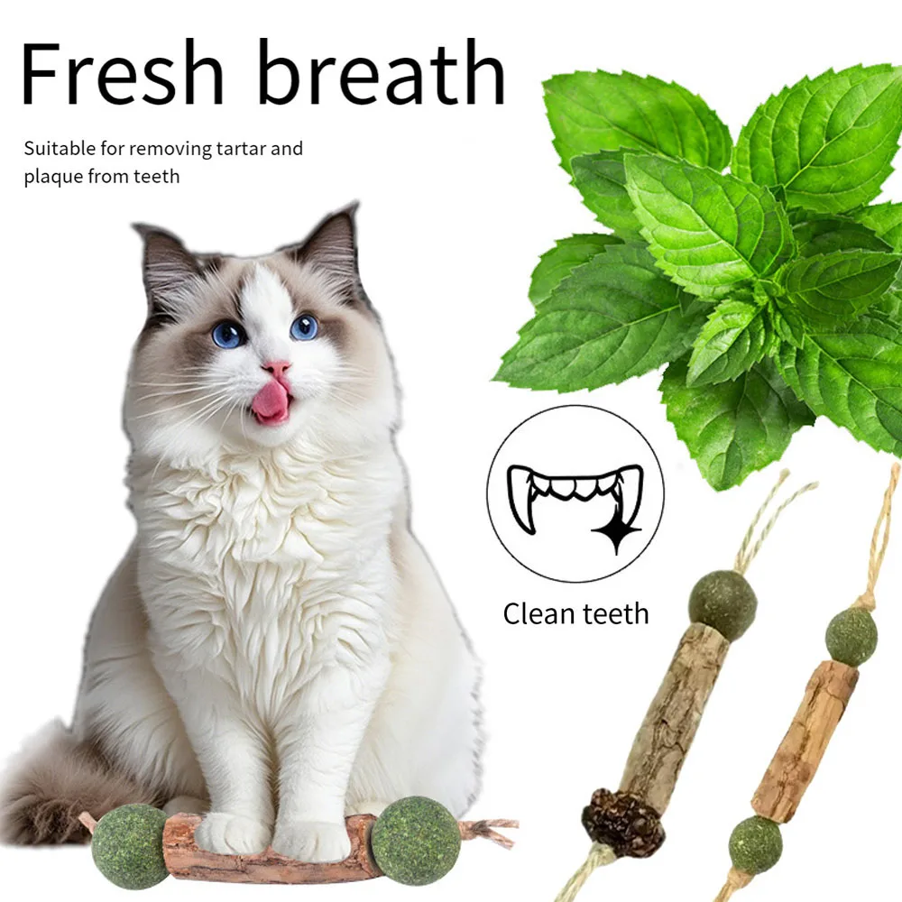 Natural Catnip Cat …