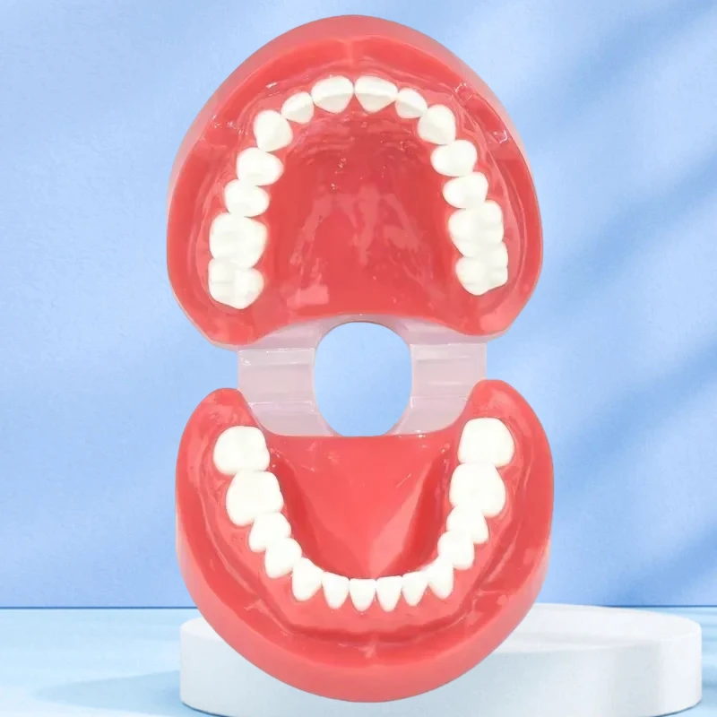 

Новая стоматологическая модель зуба 7004, нормальная модель зуба для взрослых, оральная стоматология, медицинские стоматологические товары