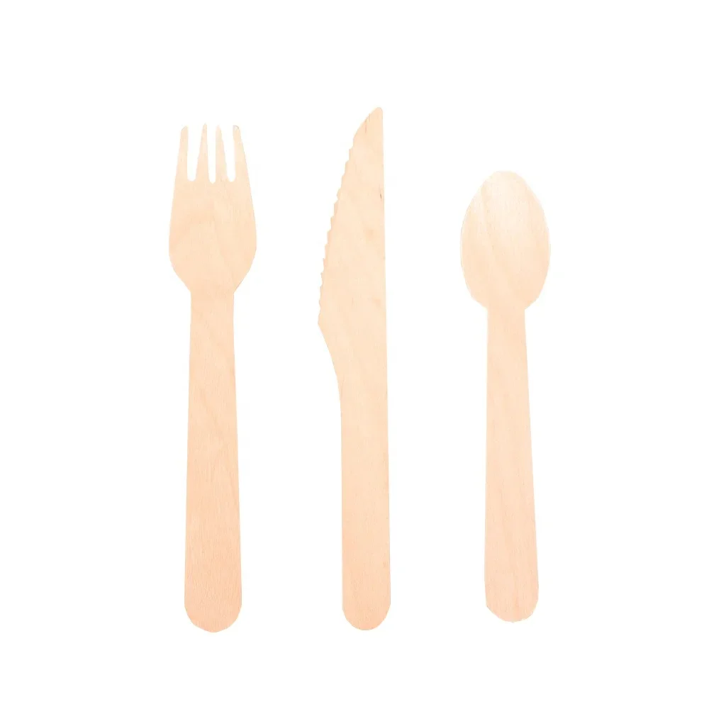 ECO-Friendly Flatware Sets Plastic Free Disposable Wood Spoon