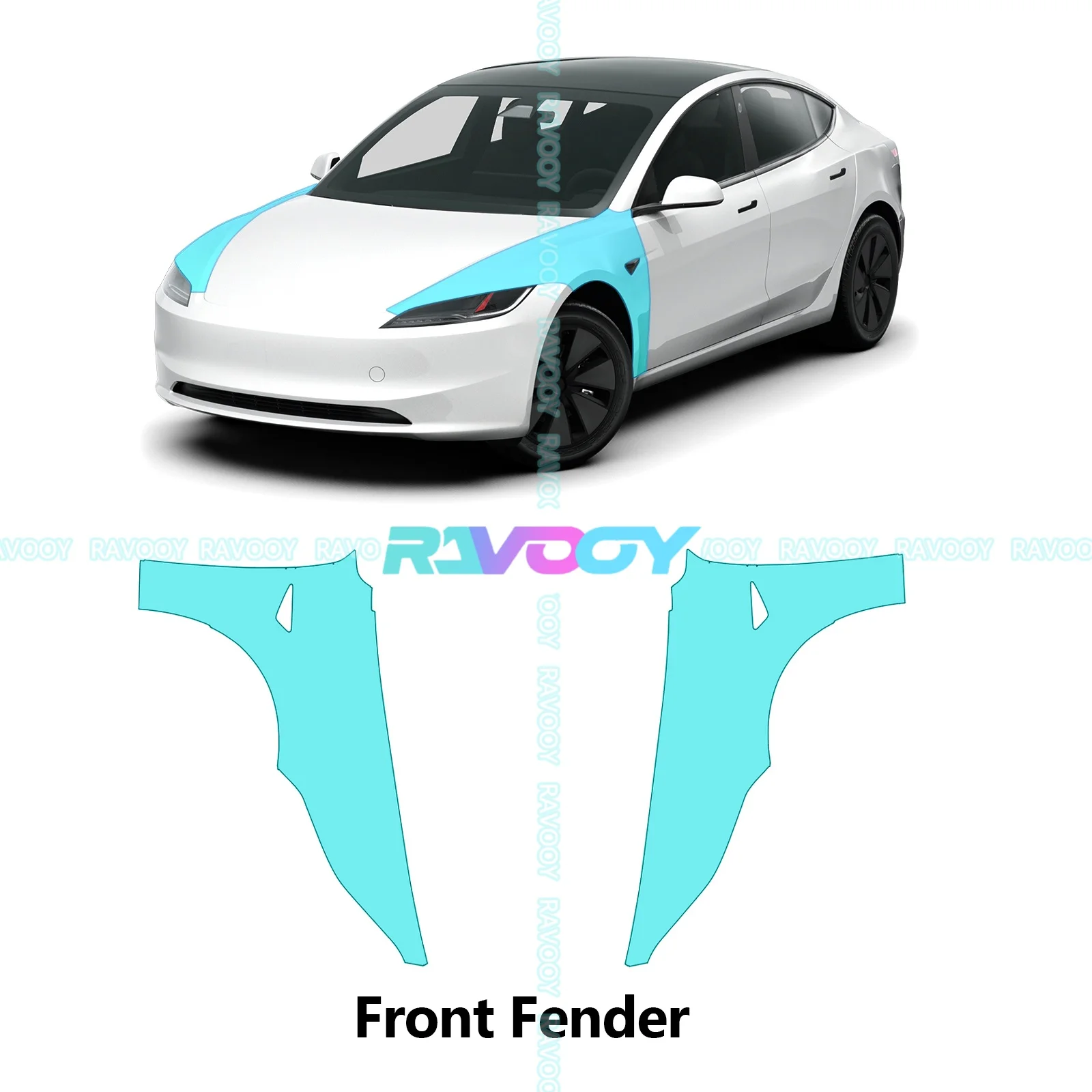 Front Fender