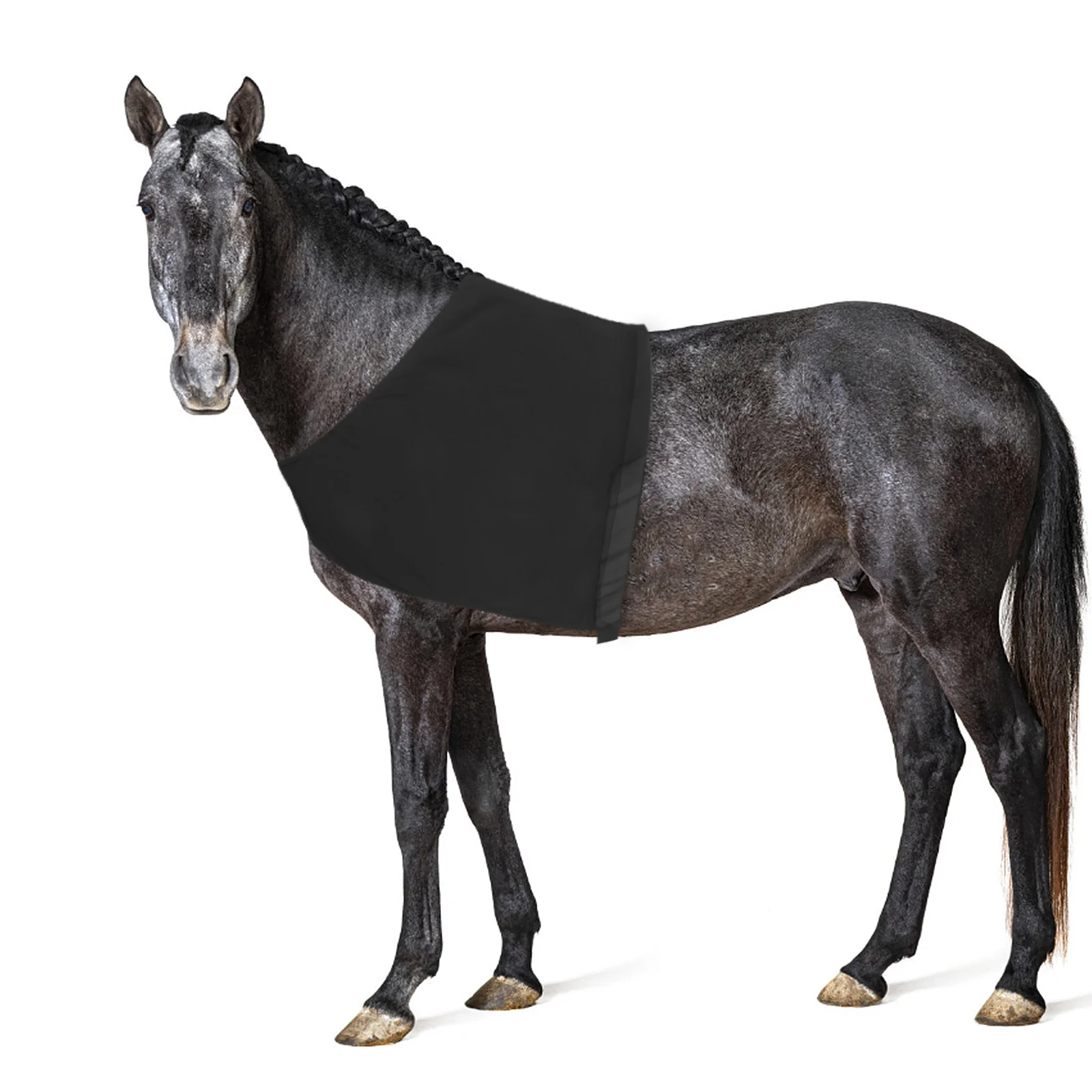 الحصان الكتف الحرس مرونة دنة سترة واقية تنفس الصدر حامي مريح الأشعة فوق البنفسجية درع المضادة للفرك ركوب الخيل في الهواء الطلق