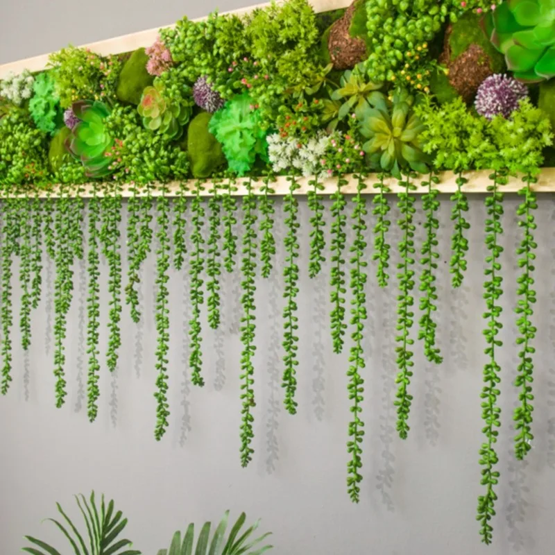 Succulent plants wall wall decoration home green plant painting wall decoration living room dining room background