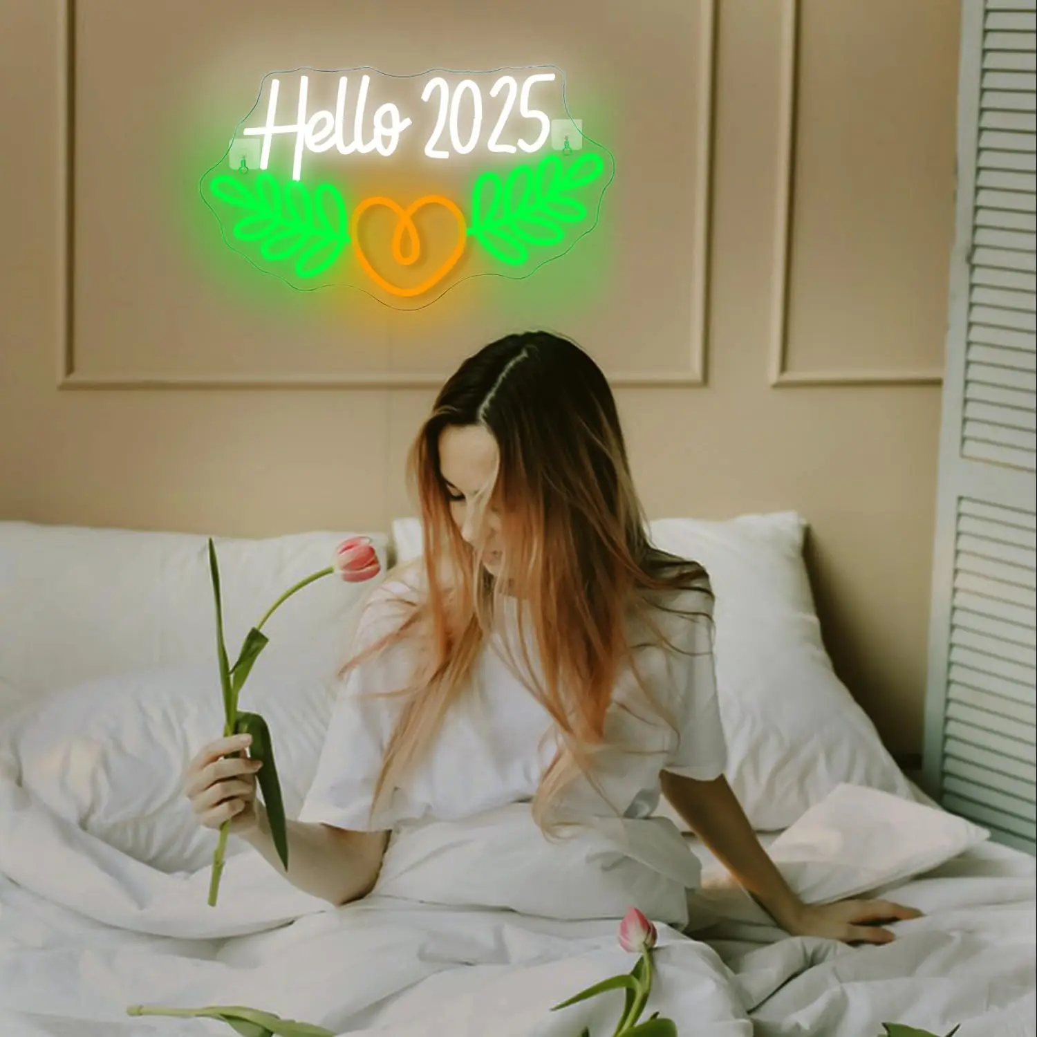 

Hello 2025 Neon Sign for Wall Decor Bedroom Decor Dimmable Switch USB Connectivity Neon Signs for Holiday Party Light Festival C