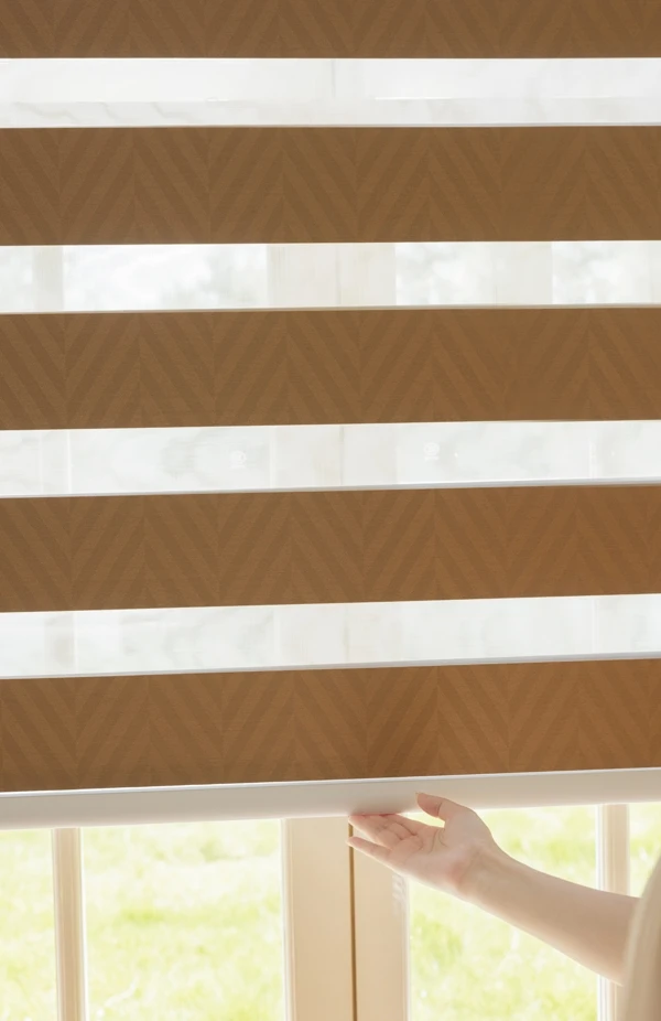 ZSTARR 2 Years Warranty Day Night Smart Automated Blackout Double Layer Fabric Window Blinds Shades  Zebra Blinds for House