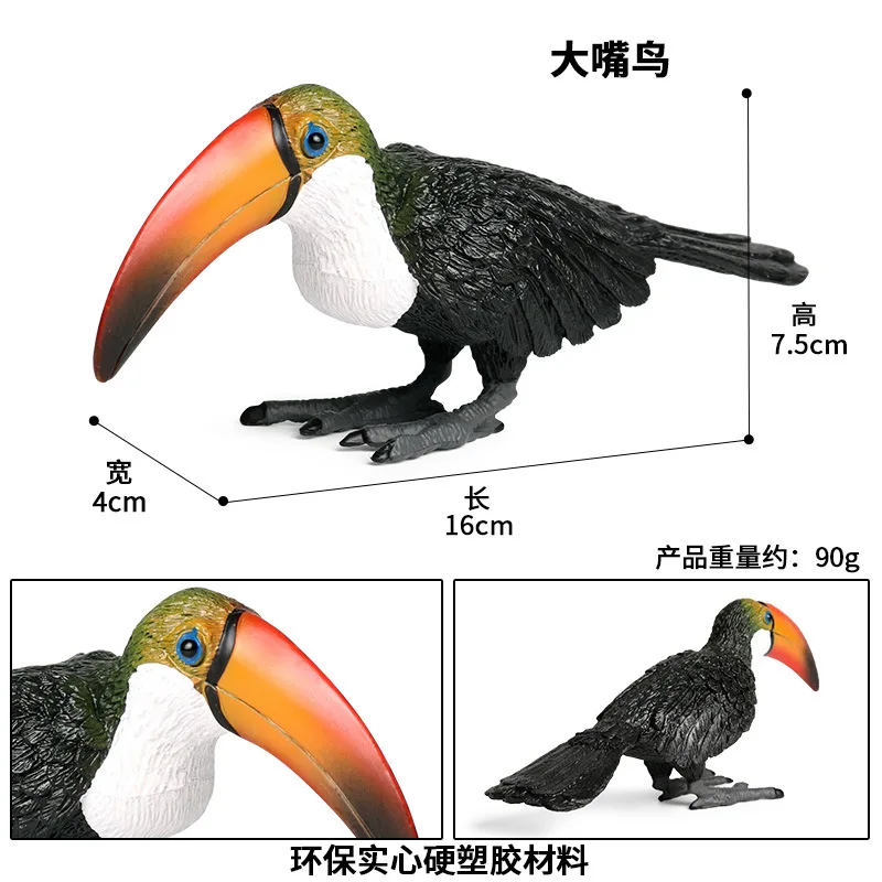 Simulation animal model solid wild bird animal world toucan toucan parrot children's toy ornaments