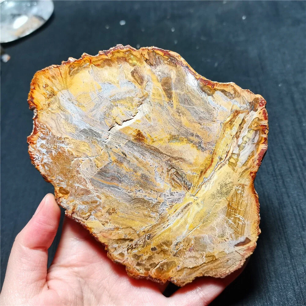 Natural woodstone crystal quartz slices, energy gemstones, spiritual healing, home and office decoration, demagnetization, purif