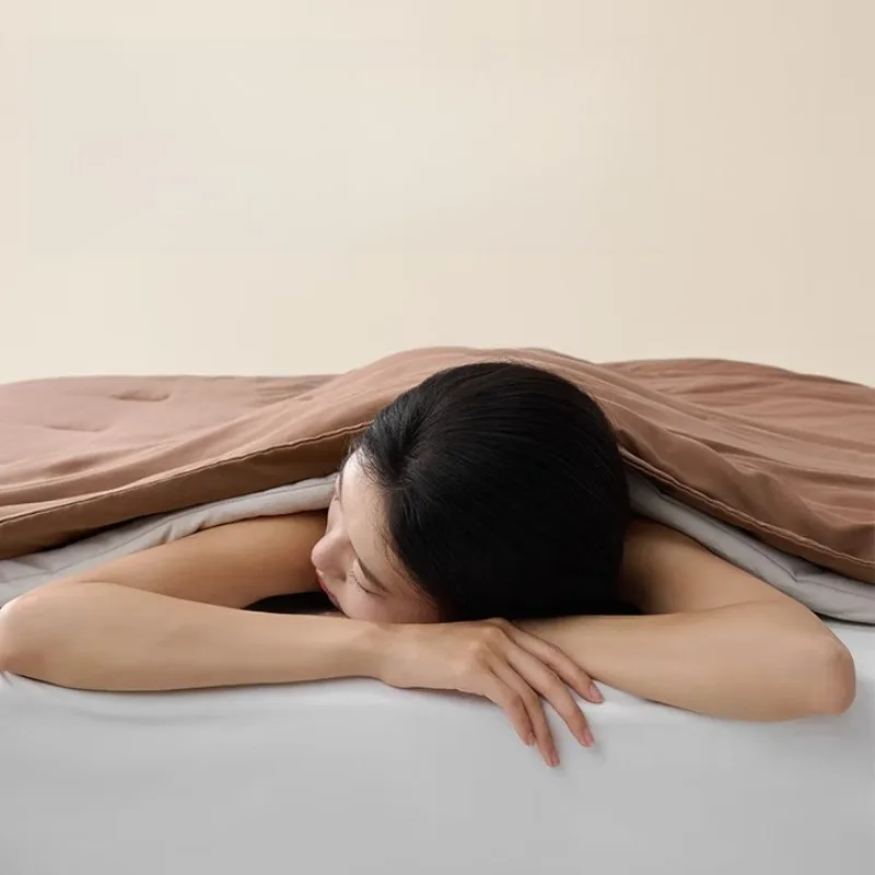 Warm quilt core can be machine washed without quilt cover thickened in winter, earth brown 2x2.3m.