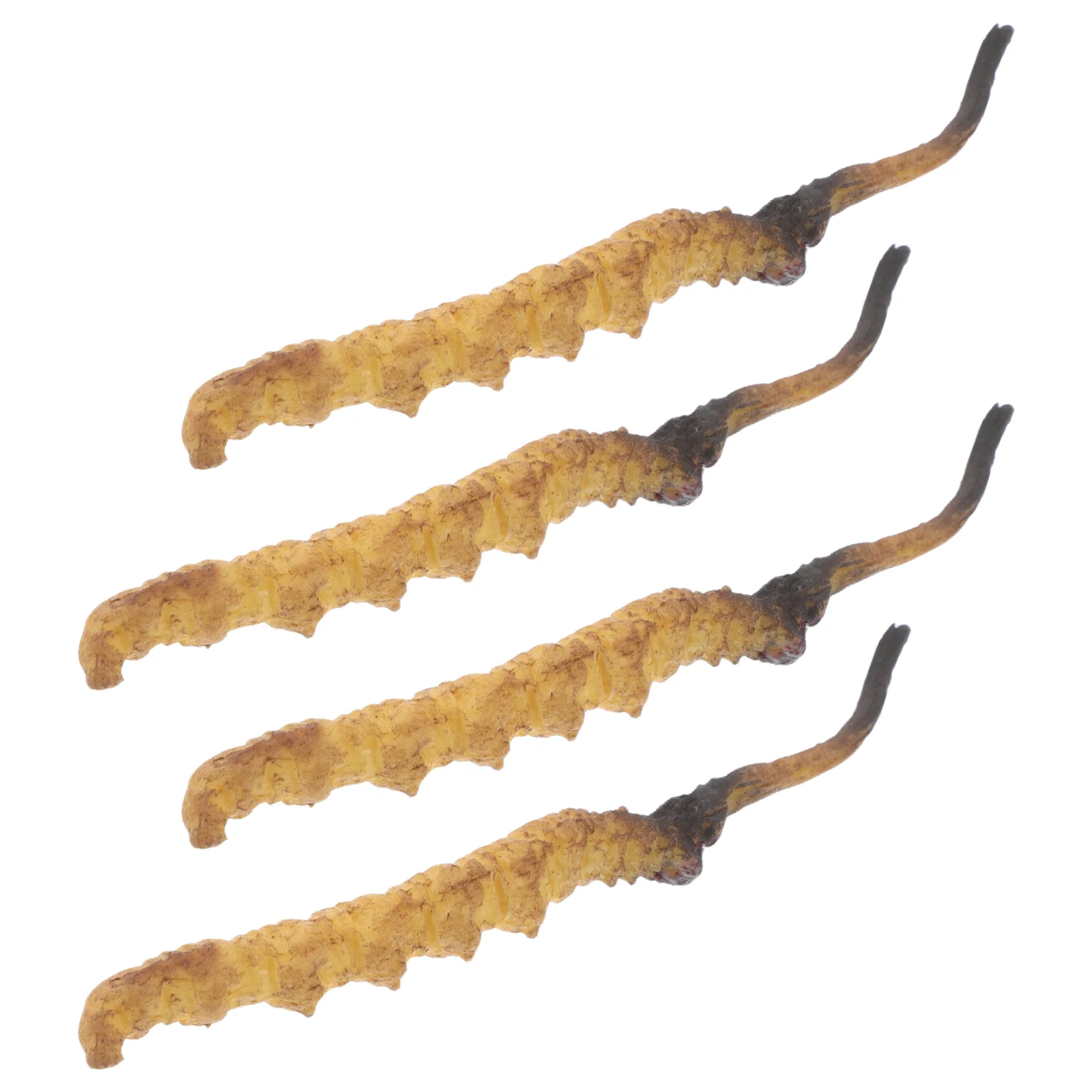 

4 Pcs Cordyceps Model Play Medical Instruments Chinese Pharmacy Props Herbs Medicine Shop Role