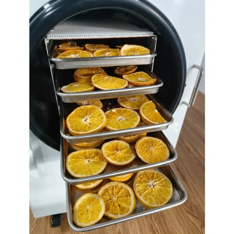 Commercial Freeze Lyophilizer vacuum sublimation dryer 10kg for Fruit Food and Vegetable Vacuum Freeze Drying Machine