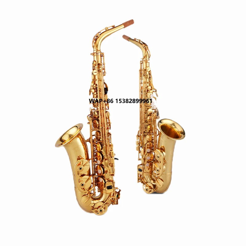 

Starway Custom High Quality Alto Saxophone E Flat Brass Body Wind Musical Instruments for Professional Band