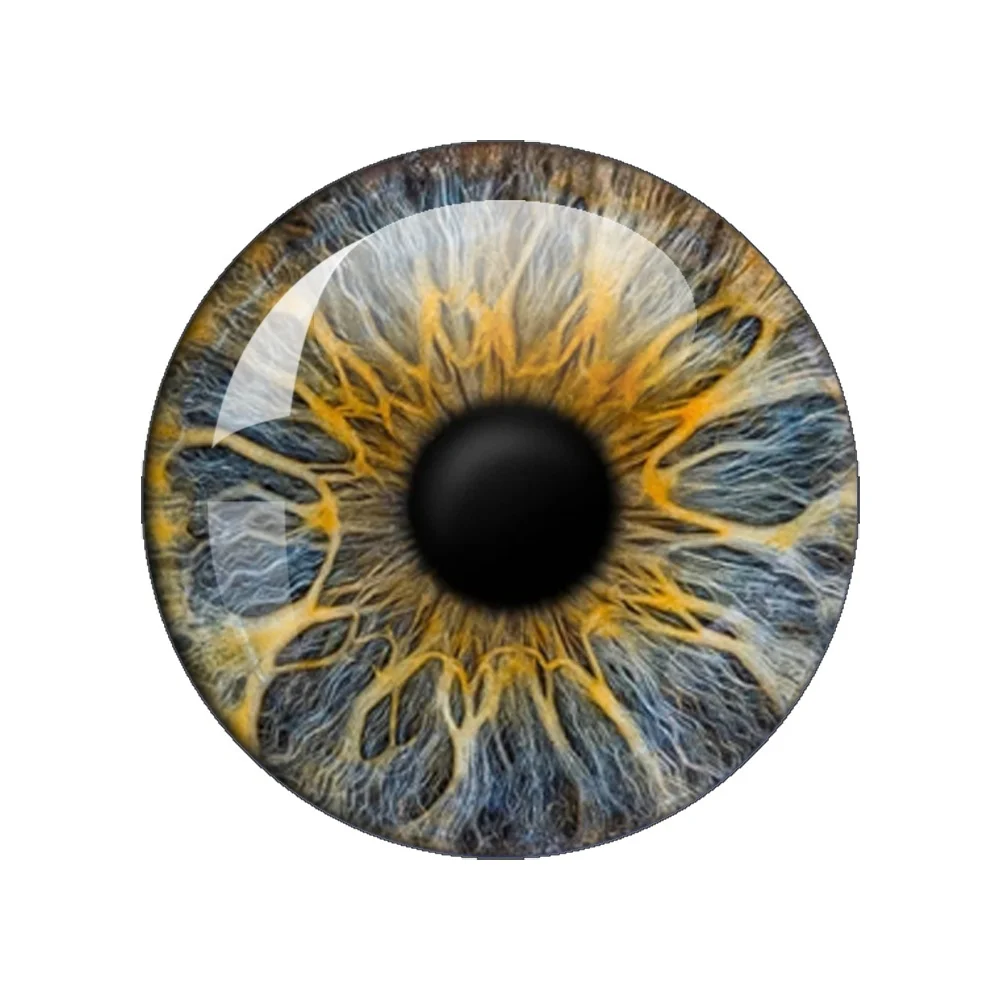 6 Pairs/Bag Glass Eyes Cabochons Round 10MM-40MM Round Dome Dragon Cat Animals Eye Dolls DIY Jewelry MIX Dragon Eye Wholesale