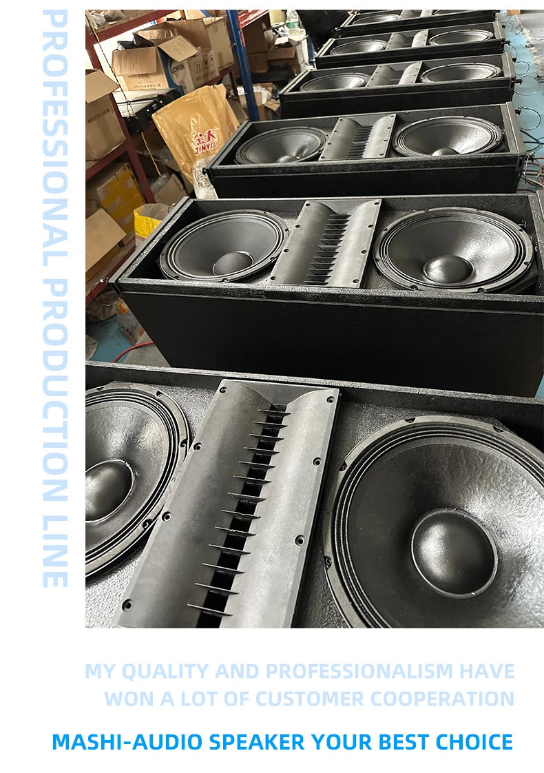 Mashi-Audio LA-218 Duale 18-Zoll-Subwoofer