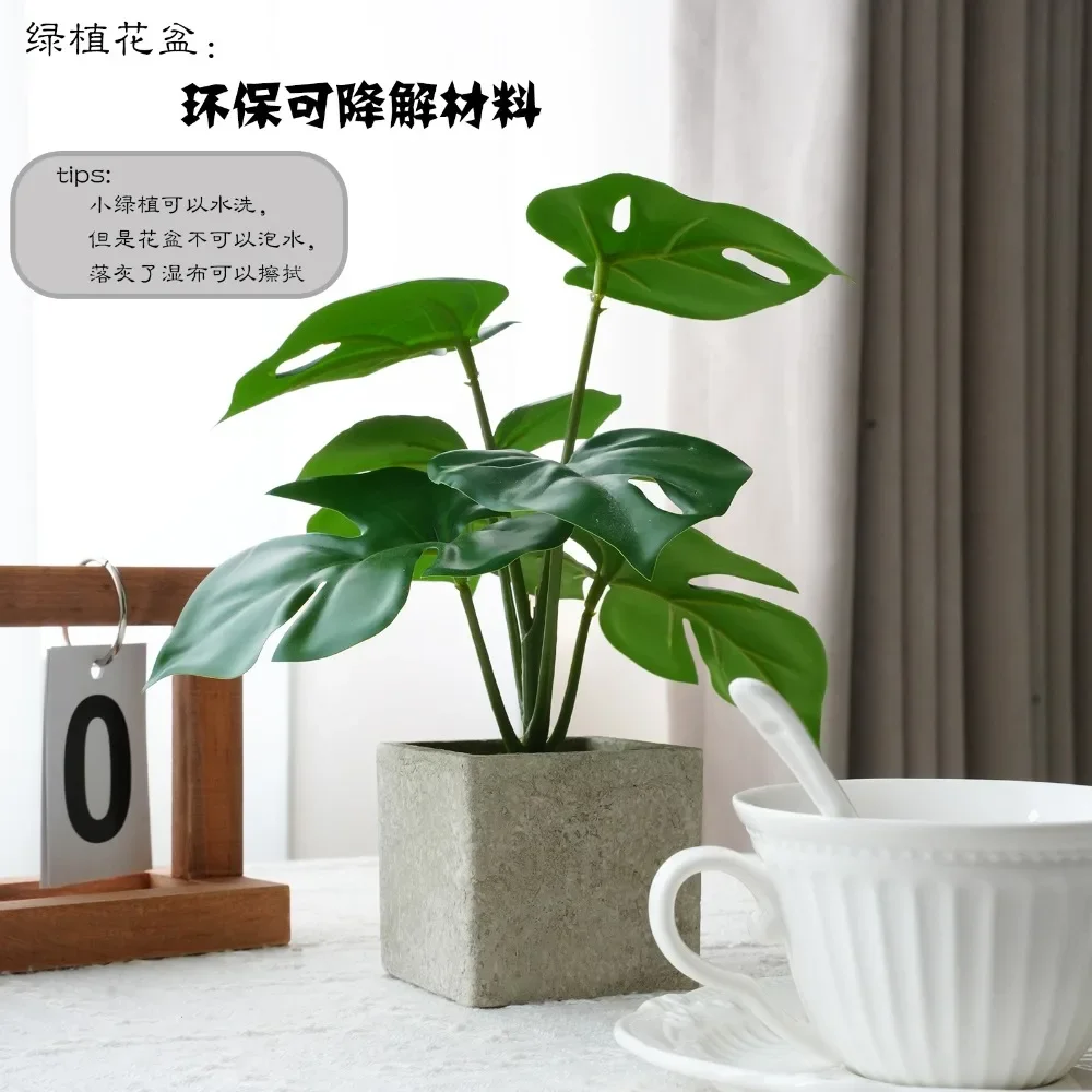 Simulation green plant fake flower ornament turtle back leaf small potted plant office desktop room living room coffee table
